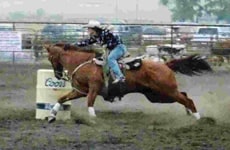 Cascade PRCA Pro Rodeo