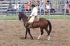 Choteau American Legion Rodeo