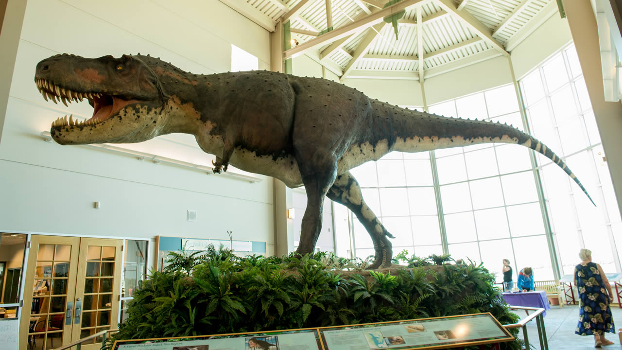 Museum of the Rockies