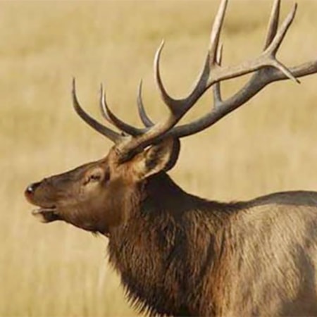 Central Montana Slippery Ann Wildlife Viewing Area
