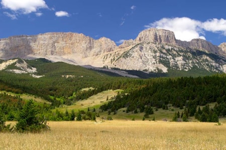Central Montana Sun River Wildlife Management Area