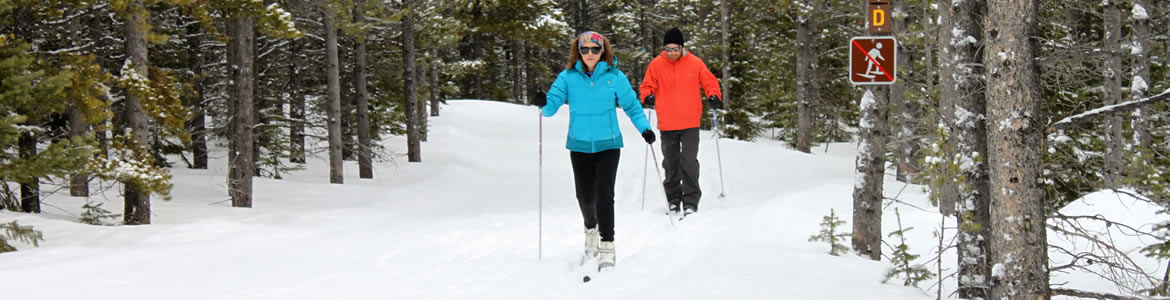 Central Montana Cross Country Skiing