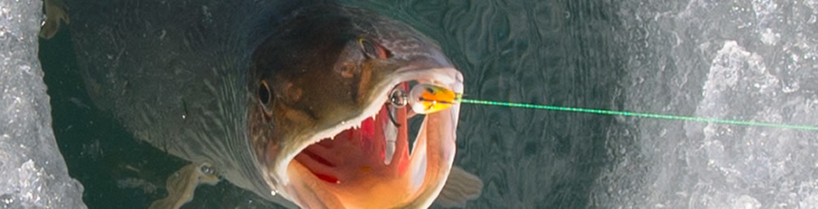 Central Montana Ice Fishing