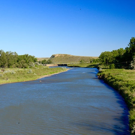 Central Montana Wood Bottom