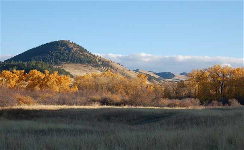 Beaver Creek Park: scenery
