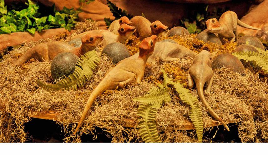 Depot Museum: exhibit