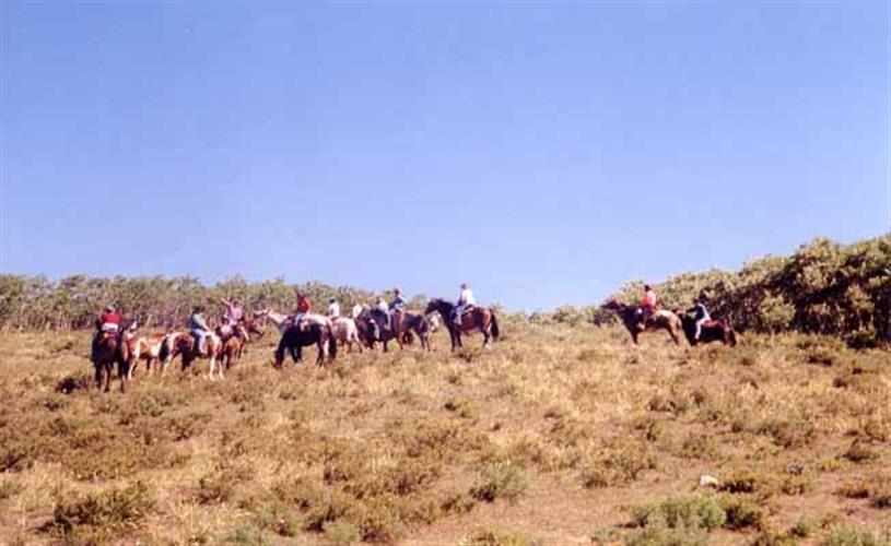 Feather Woman Mountain Adventures: group ride