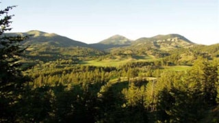 Bear Paw Hunts: scenic