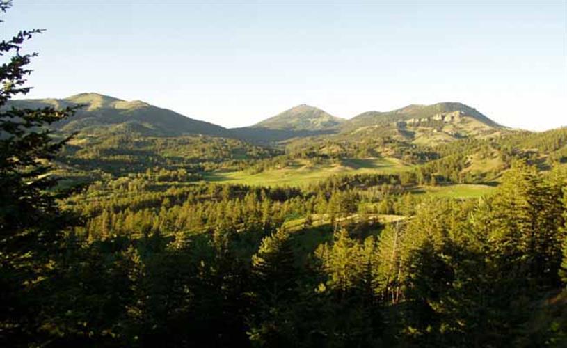 Bear Paw Hunts: scenic