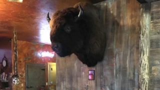 Dupuyer's Buffalo Joe's Eatery & Saloon: 