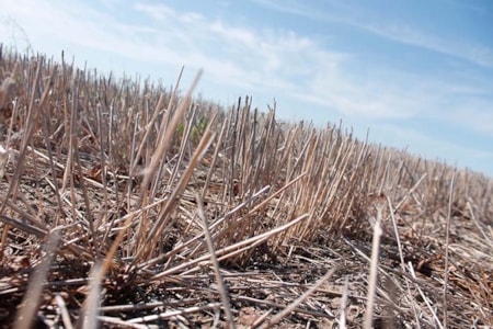 Central Montana Crops Fallow
