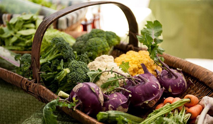 Missouri River Landing Farmers Market: 