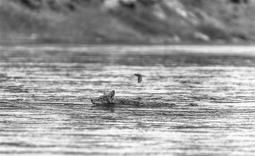 Missouri River Outfitters: 