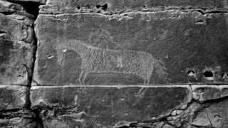 Missouri River Outfitters: 