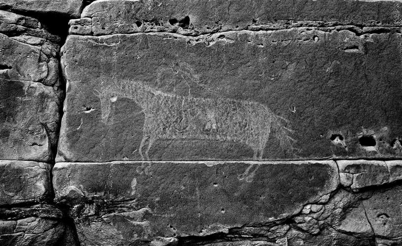 Missouri River Outfitters: 