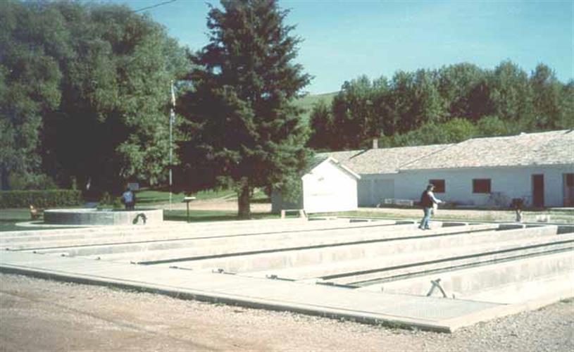 Big Springs Trout Hatchery: man feeding trout