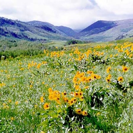 Central Montana Beaver Creek County Park