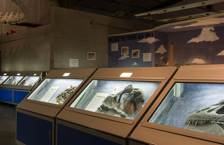 The Montana Dinosaur Center: 