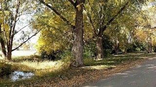 Choteau City Park & Campground: 