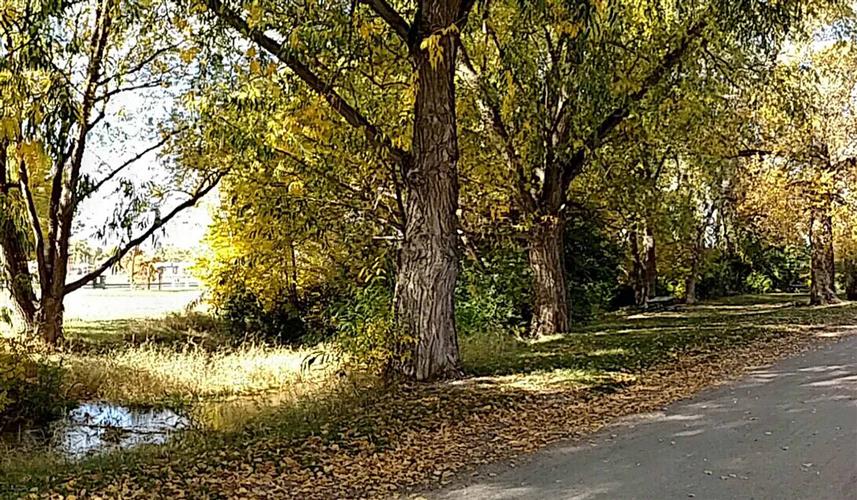 Choteau City Park & Campground: 
