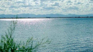 Lake Frances: Lake Frances with Rocky Mountains