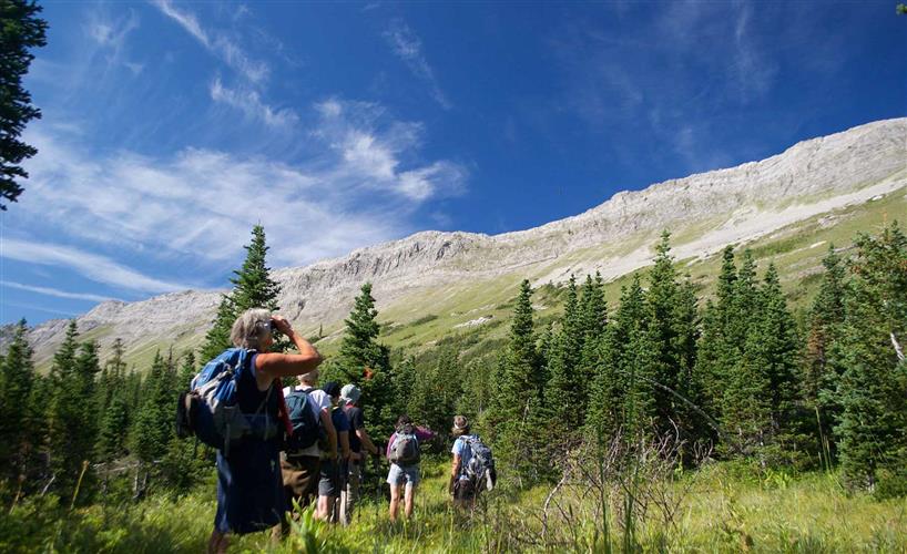 Dropstone Outfitting: 