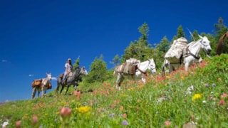 Dropstone Outfitting: 