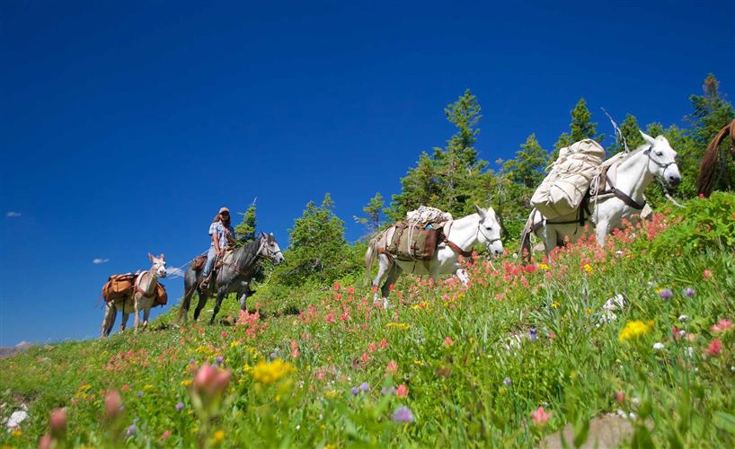 Dropstone Outfitting: 