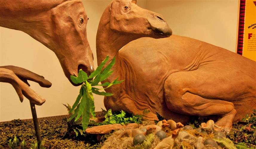 Depot Museum: exhibit