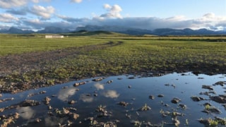 Northern Rocky Mountain Front Backcountry Drive: 