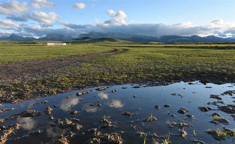 Northern Rocky Mountain Front Backcountry Drive: 