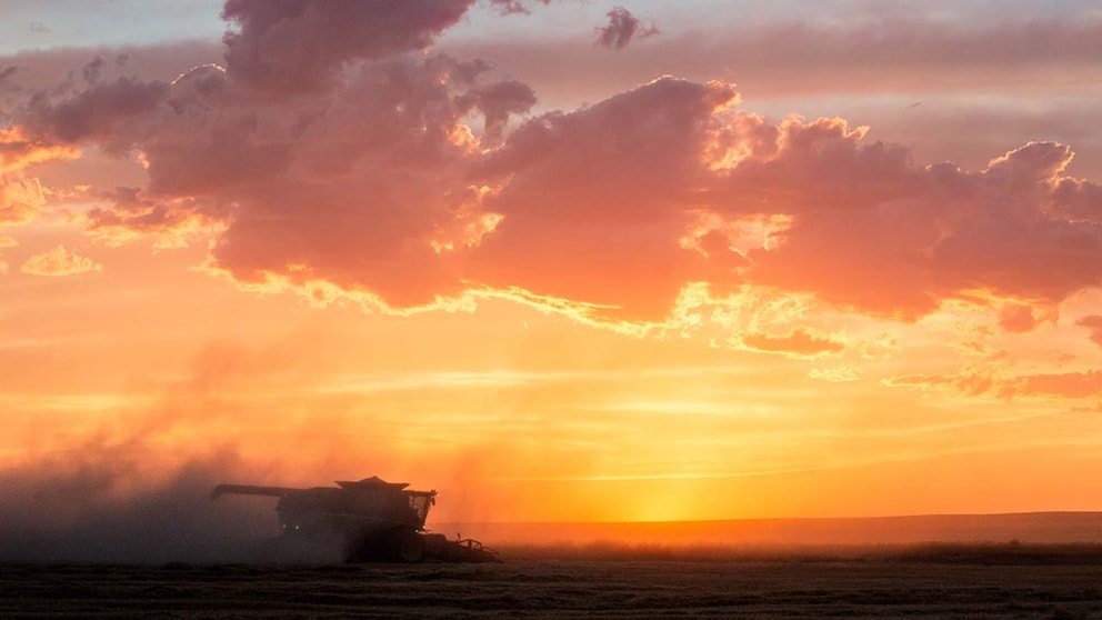 Harvest at Sunset