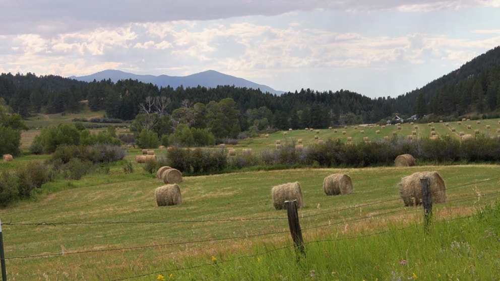 Haybales near Lewistown