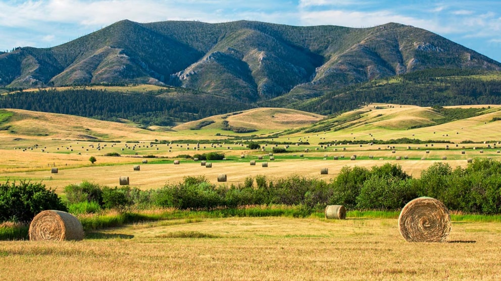 Judith Mountains near Lewistown