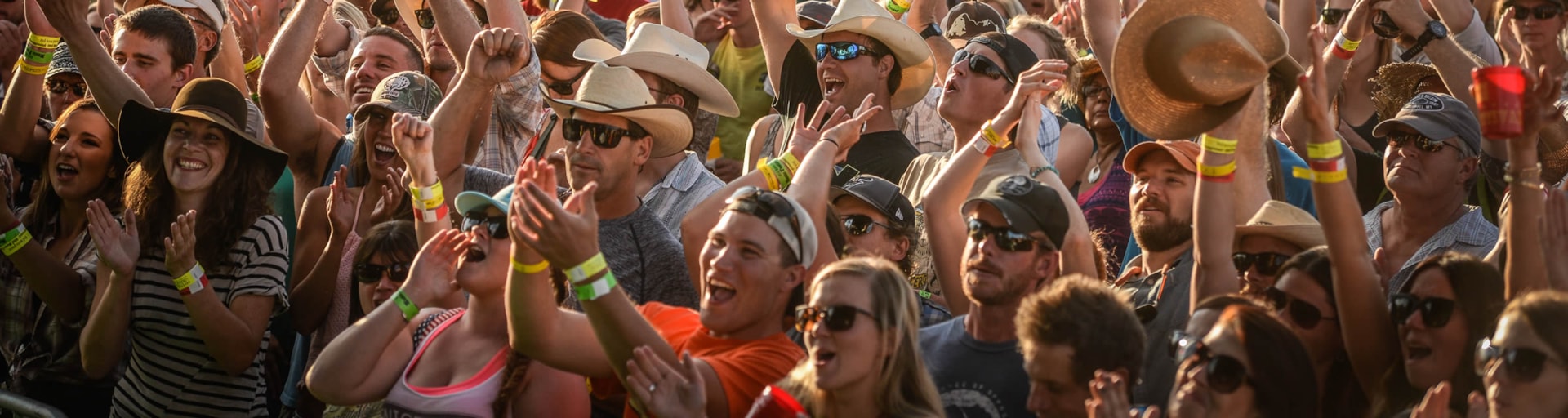 Music Festivals and Events