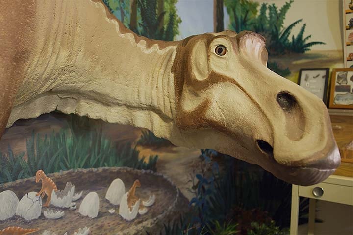 Central Montana Old Trail Museum, Choteau