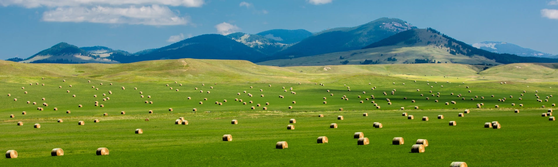 Recreate Responsibly