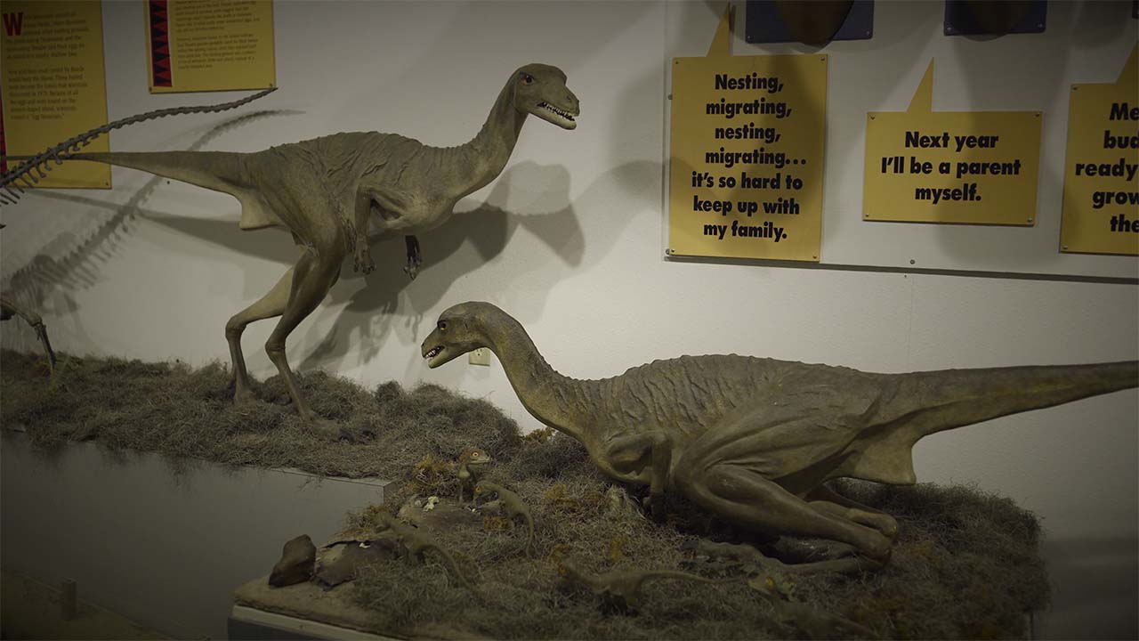 Depot Museum, Rudyard, MT