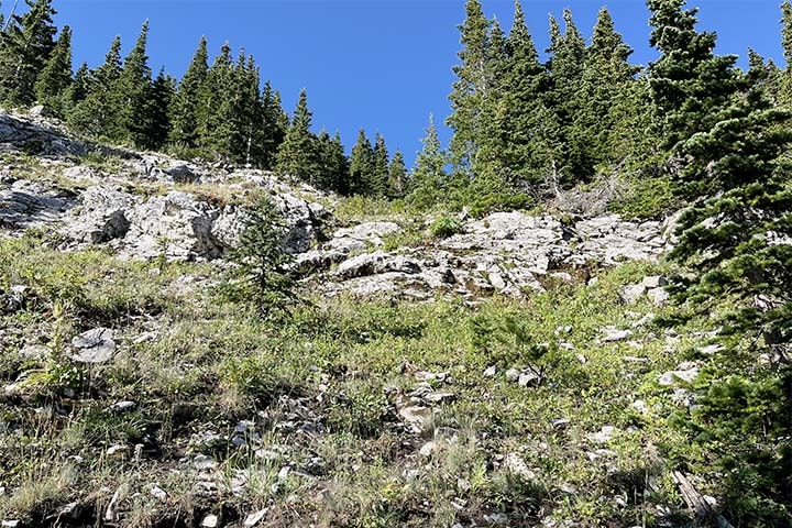 Central Montana Scapegoat Wilderness Area