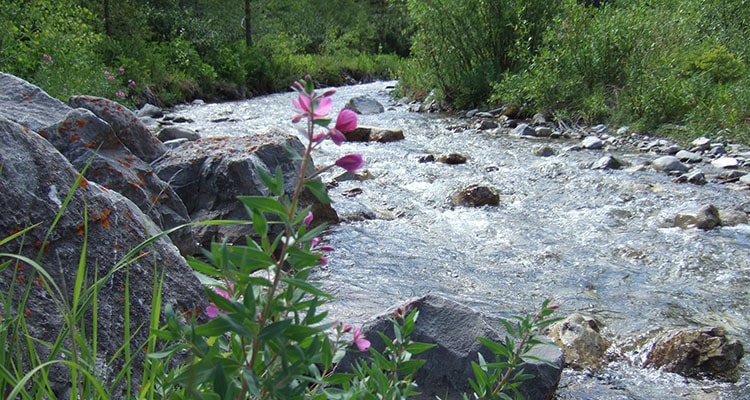 The Rocky Mountain Front