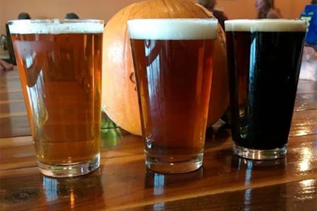 Triple Dog Brewing Company