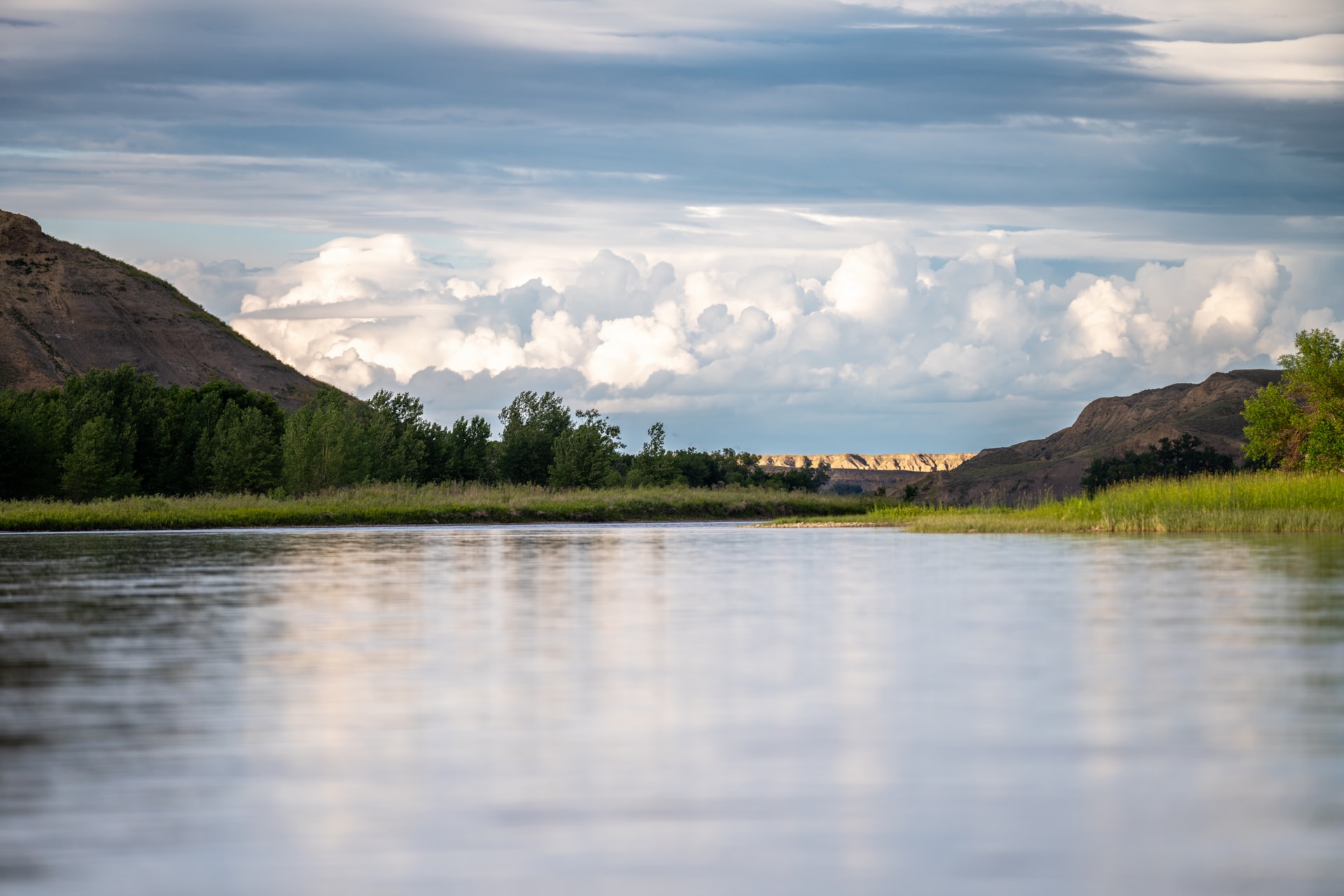 On The Walleye Trail
