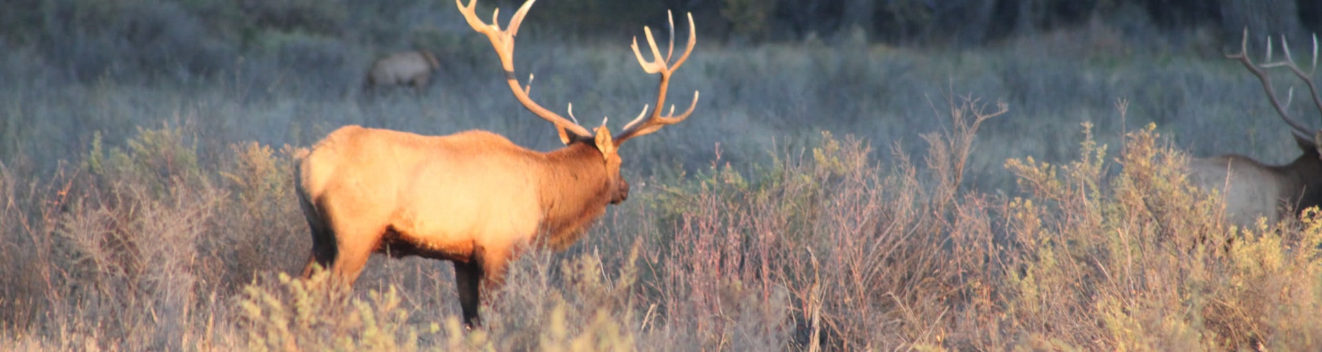 Wildlife Refuges & Wilderness Areas