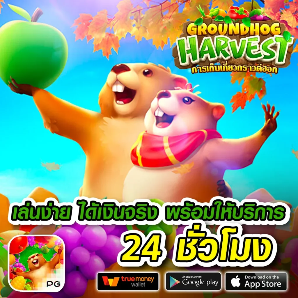 เว็บสล็อต joker ใหม่ล่าสุด